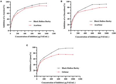 Hulless barley polyphenol extract inhibits adipogenesis in 3T3-L1 cells and obesity related-enzymes